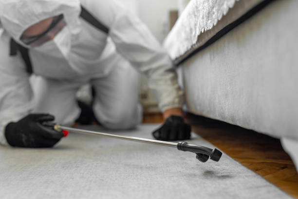 Professional Ant Control technician working in Coral Terrace, FL