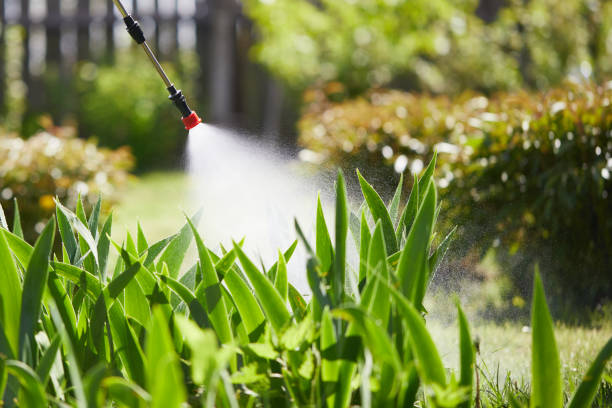 24/7 Emergency Ant Control experts in Coral Terrace, FL